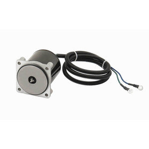Sierra Tilt/Trim Motor. Suzuki