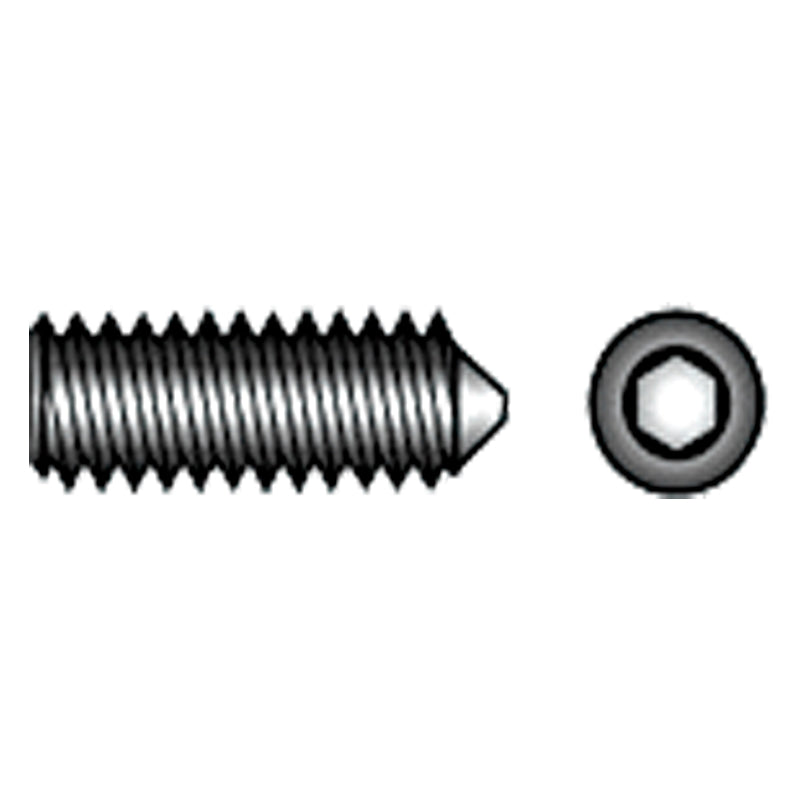 Pinolskrue m/SPIDS A4 M8x20 6/stk