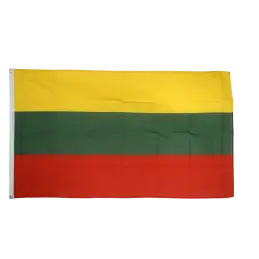 Flag gæst Ærø 30cm