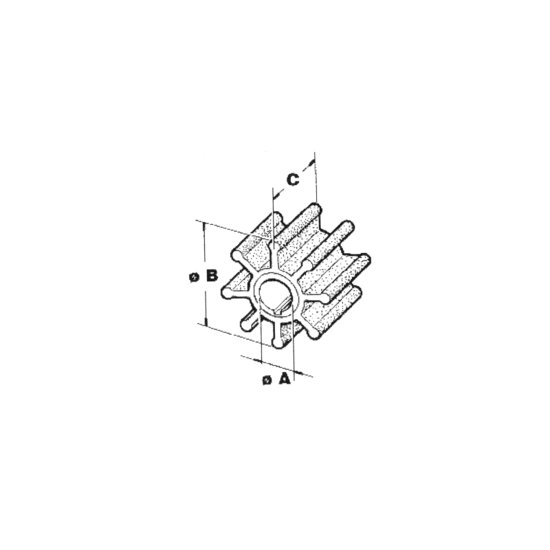Impel John/Evin 4/5 (Suzuki)fo
