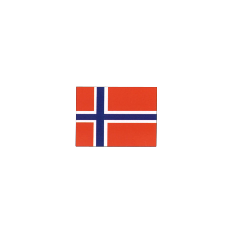 Norwegische Nationalflagge 40x60cm
